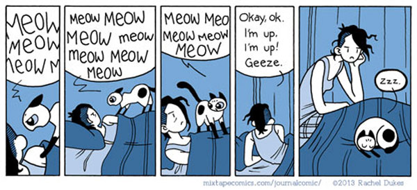 cat alarm clock comic