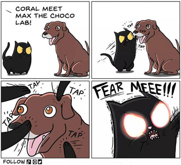 cat meets chocolate lab comic