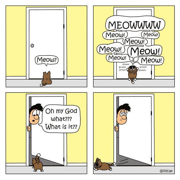 cat at the door comic