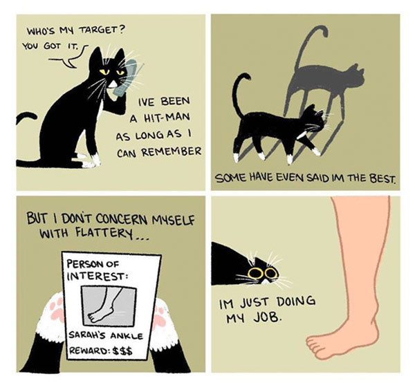 cat attack toes comic