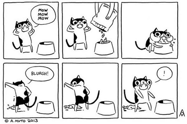greedy cat comic