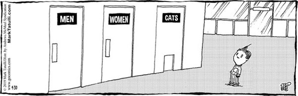 cat bathroom comic