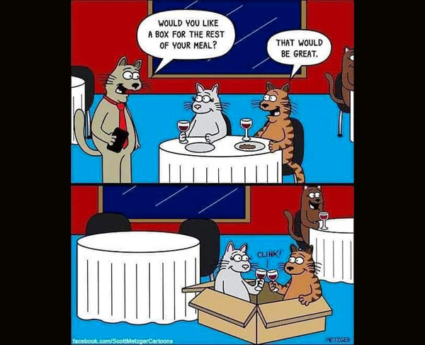 cat box dinner comic
