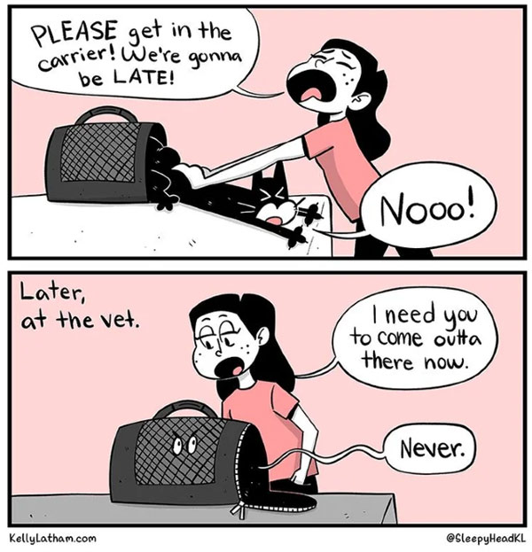 cat carrier comic