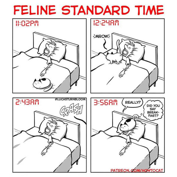 cat clock comic