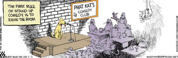 cat comedy comic