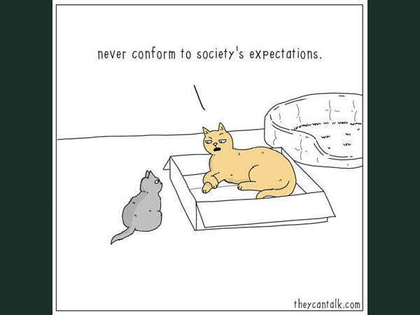 cat conformity comic