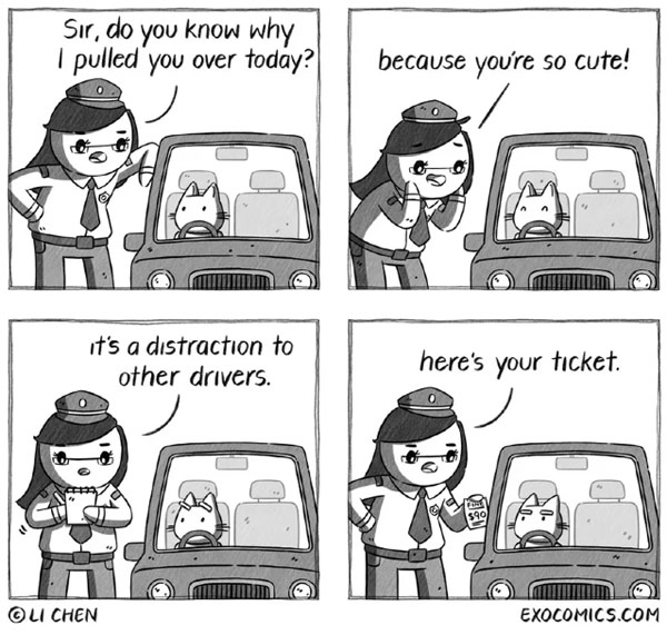 driving cat comic
