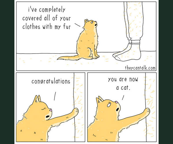 cat fur comic