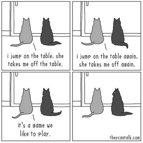 cat games comic