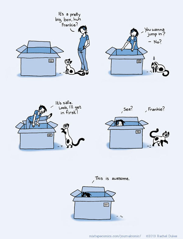 box human cat comic