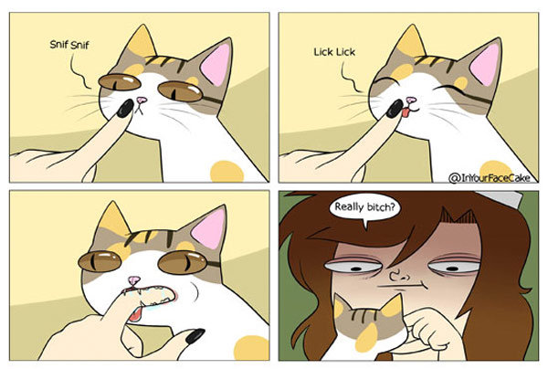 cat love bite comic