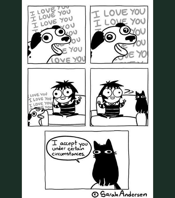 cat love comic