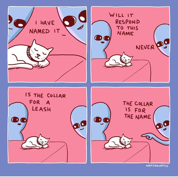 cat name comic