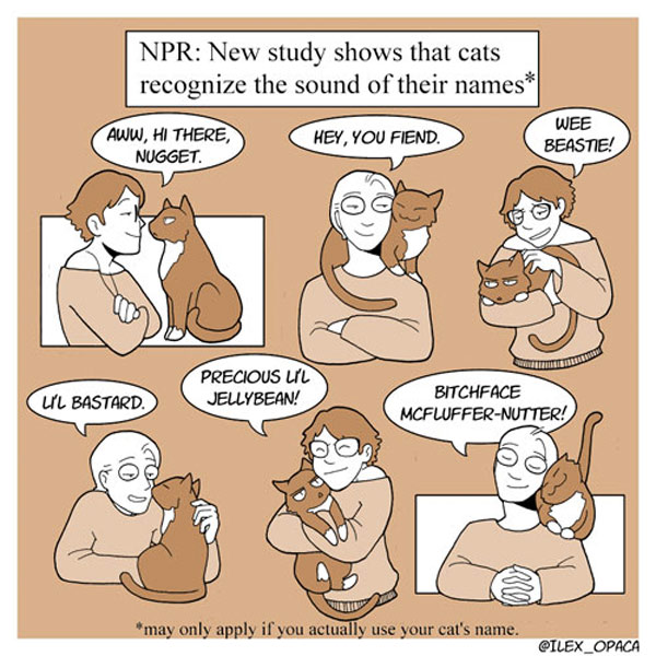 cat names comic