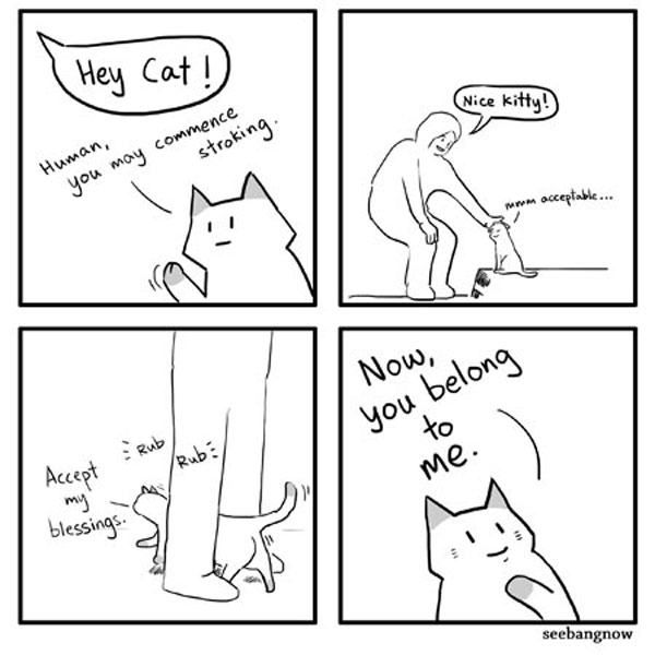 cat ownership comic