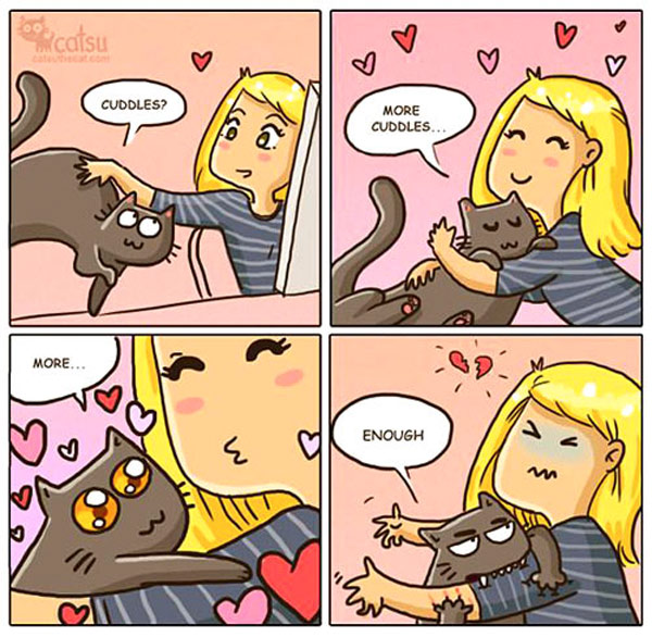 cat pets comic