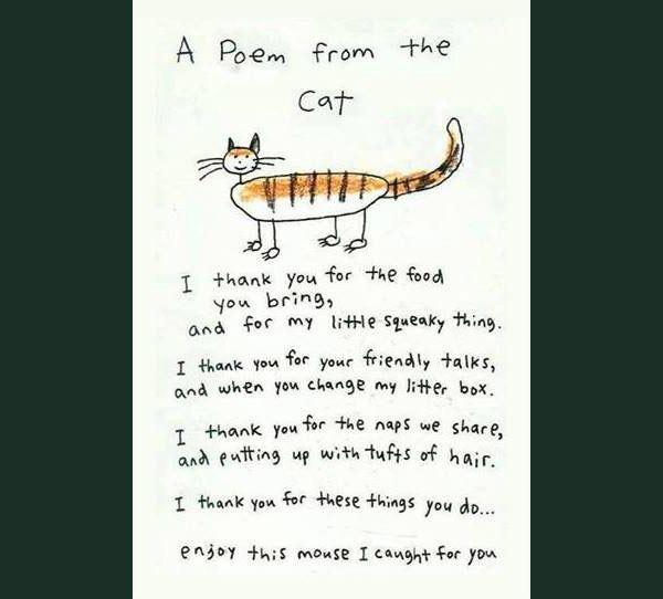 cat poem comic