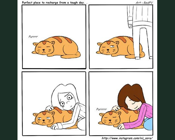 recharge with cats comic