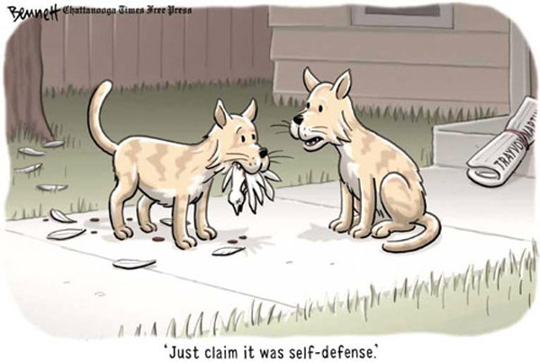cat self-defense comic