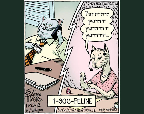 cat sex comic