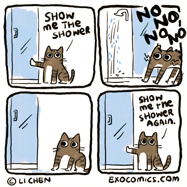 cat shower comic