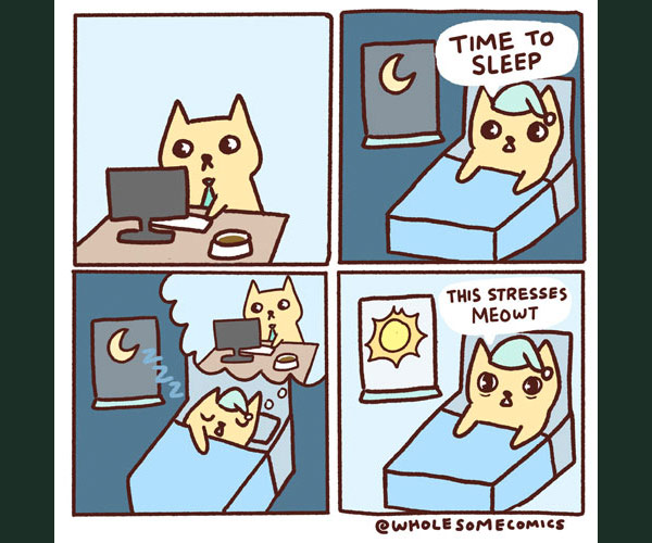 cat insomnia comic