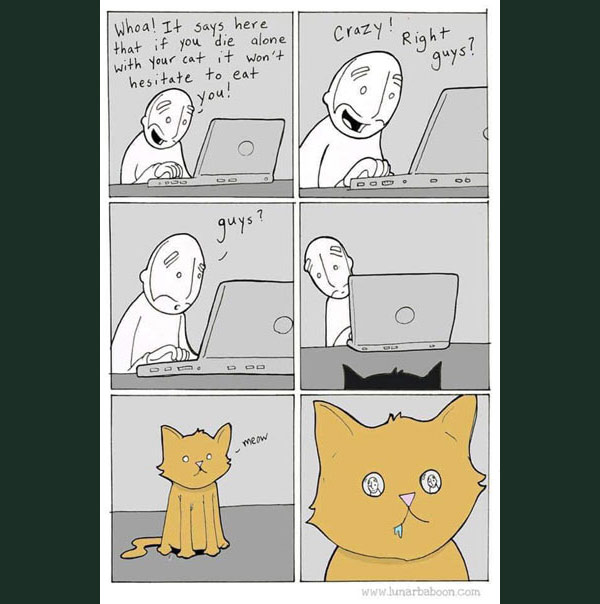 cat will eat you comic