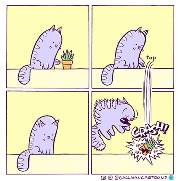 cats and gravity comic