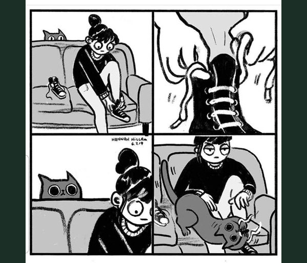 cat and shoelaces comic