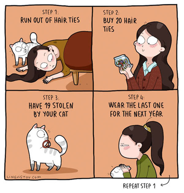 hair ties cat comic