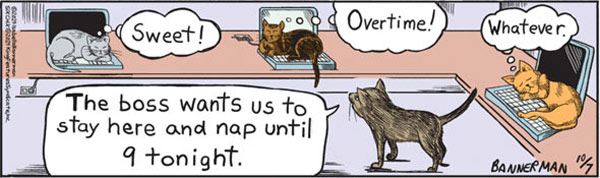 cats on computers comic