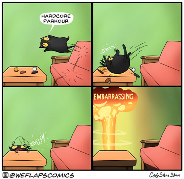 clumsy cat comic