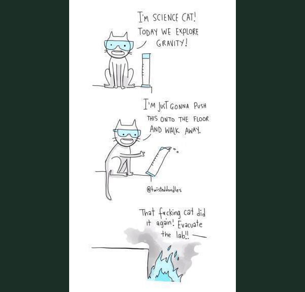 danger lab cat comic
