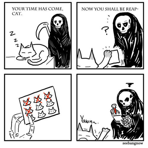 cat death comic
