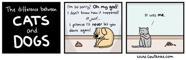 difference between cats and dogs comic