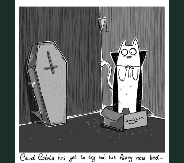 dracula cat box comic