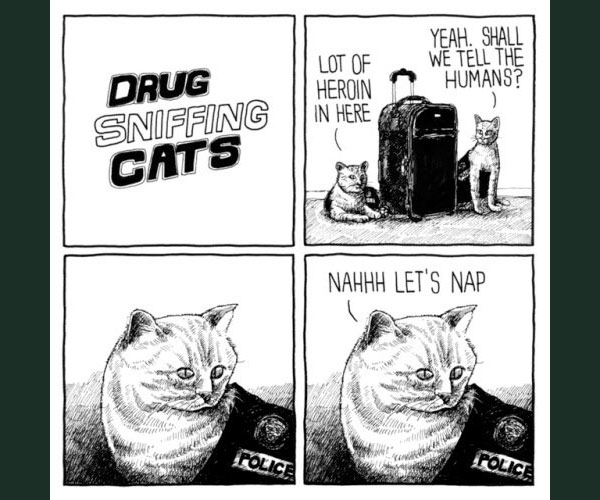 drug sniffing cat comic