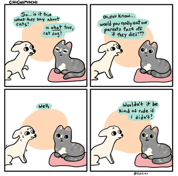face-eating cat comic