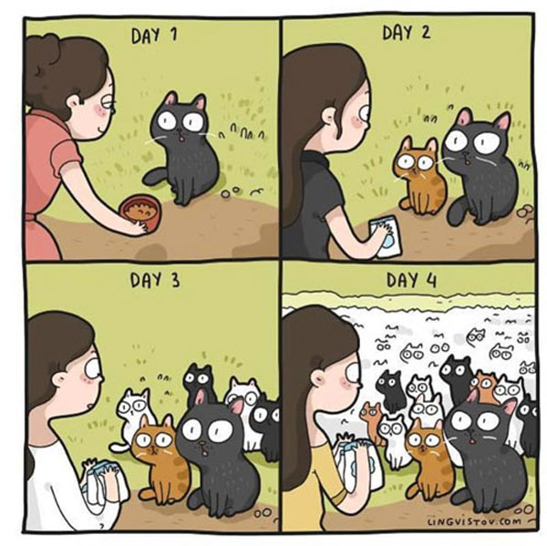 feed stray cats comic
