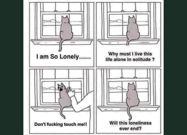lonely cat comic