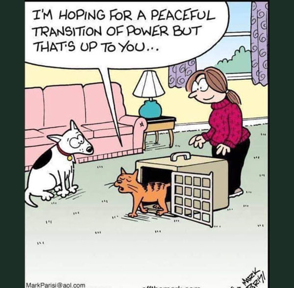 power trip cat comic