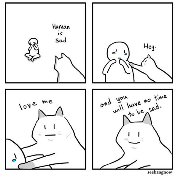 sad human cat comic