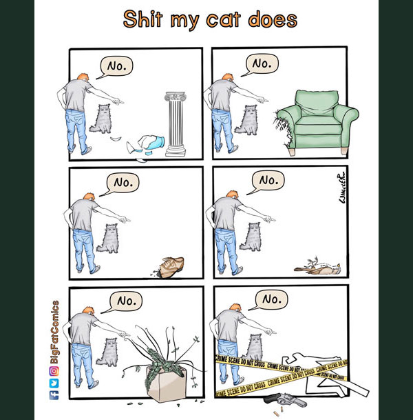 shitty cat comic