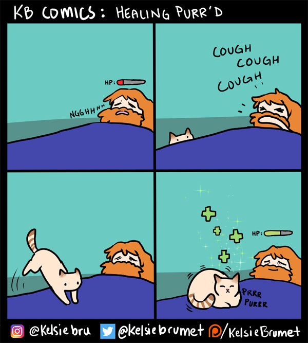 sick cat owner comic