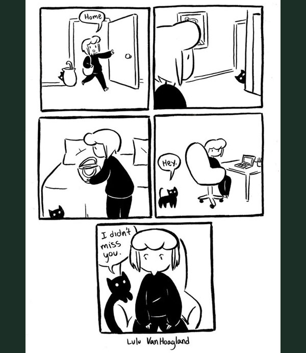snarky cat comic