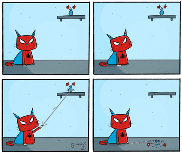 spider-cat comic