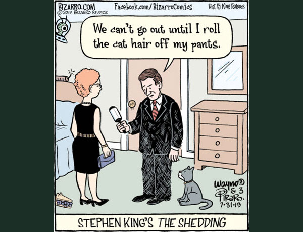stephen king cat comic