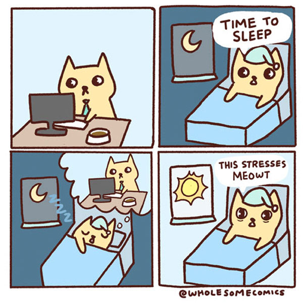 stressed out cat comic