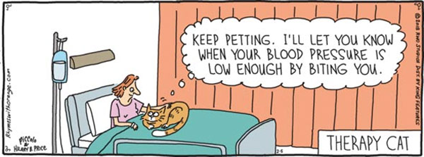 therapy cat comic